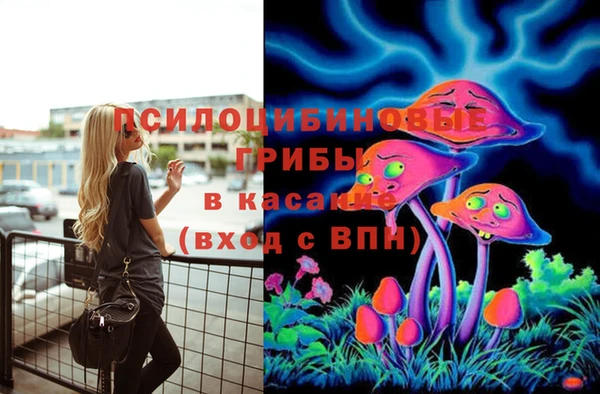 таблы Верея